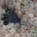 DJI_0140.JPG