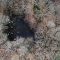 DJI_0141.JPG