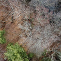 DJI_0142.JPG
