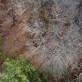 DJI_0143.JPG