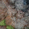 DJI_0144.JPG
