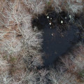 DJI_0145.JPG