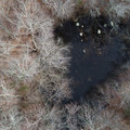 DJI_0146.JPG