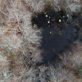 DJI_0147.JPG