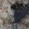 DJI_0148.JPG